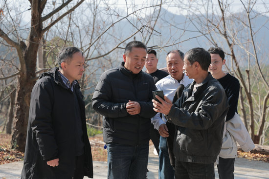 1765520374347700.jpg 02.jpg